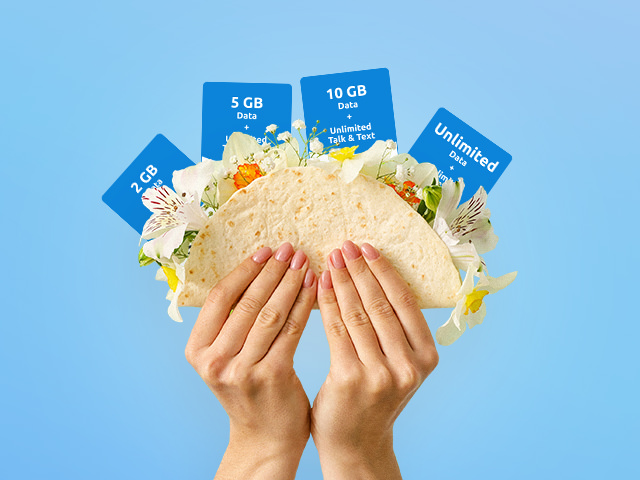 taco with plan cards"