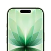 Apple iPhone 17 1