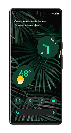 Google Pixel 6 Pro 1